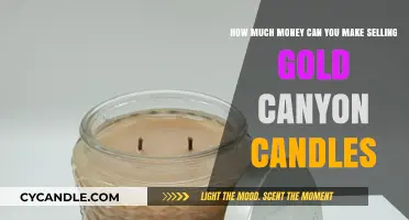 Profitable Gold Canyon Candle Business: Earning Potential and Success Tips