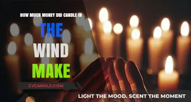 Candle in the Wind's Earnings: A Staggering Financial Success Story