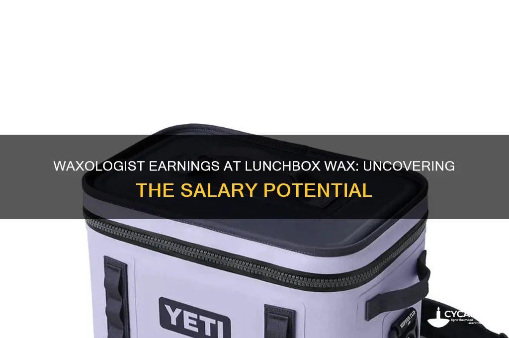 how much money does a waxologist make at lunchbox wax