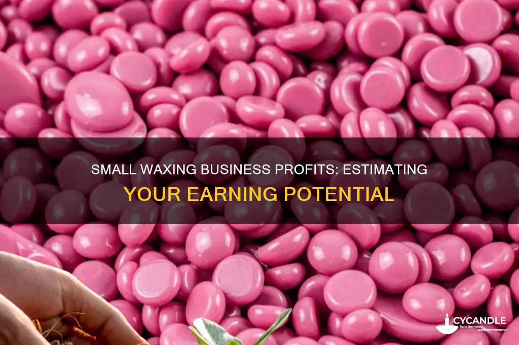 how much money will a small waxing business make