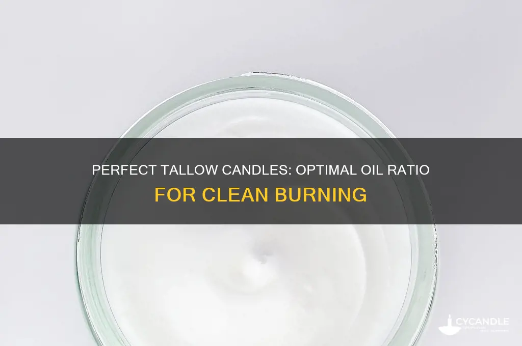 how much oil to put in candles tallow