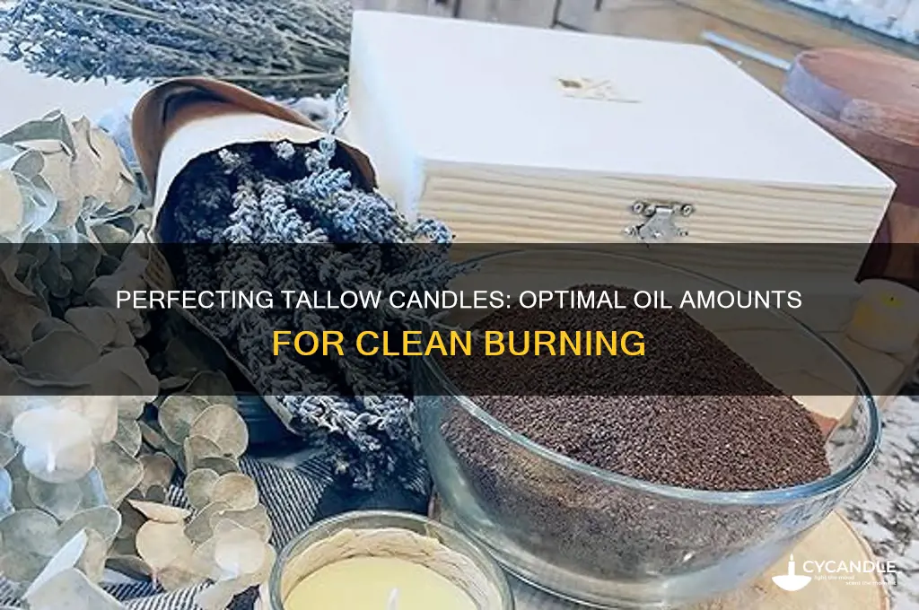 how much oil to put in tallow candles