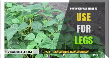 The Ultimate Guide to Wax Beans for Smooth Legs