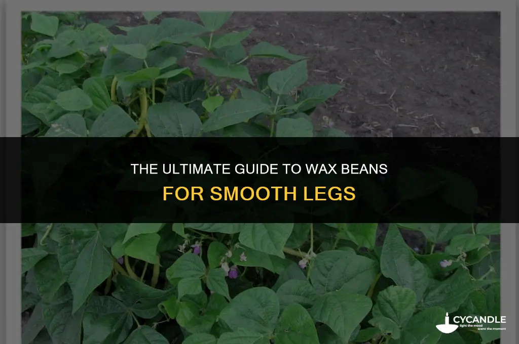 how much wax beans to use for legs