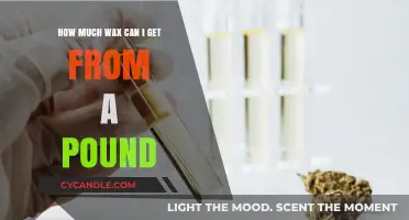 How Much Wax Can You Extract from a Pound?