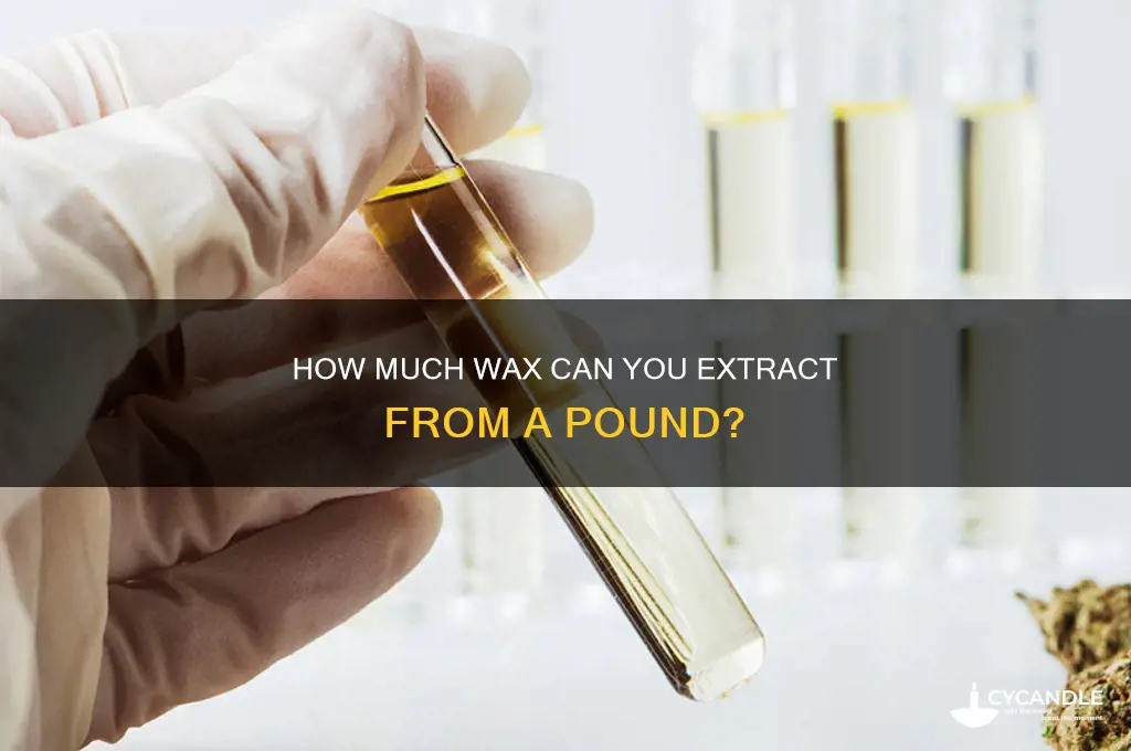 how much wax can i get from a pound