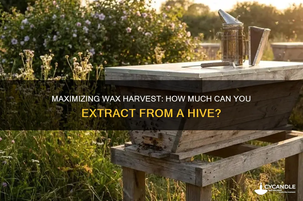 how much wax can i harvest from a hive