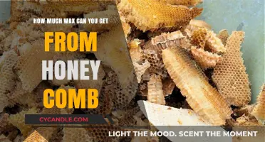 Extracting Beeswax: How Much Wax Can You Harvest from Honeycomb?