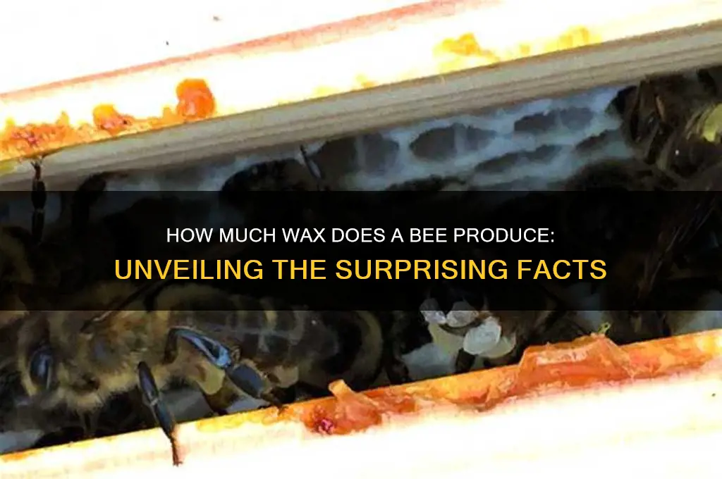how much wax does a bee make