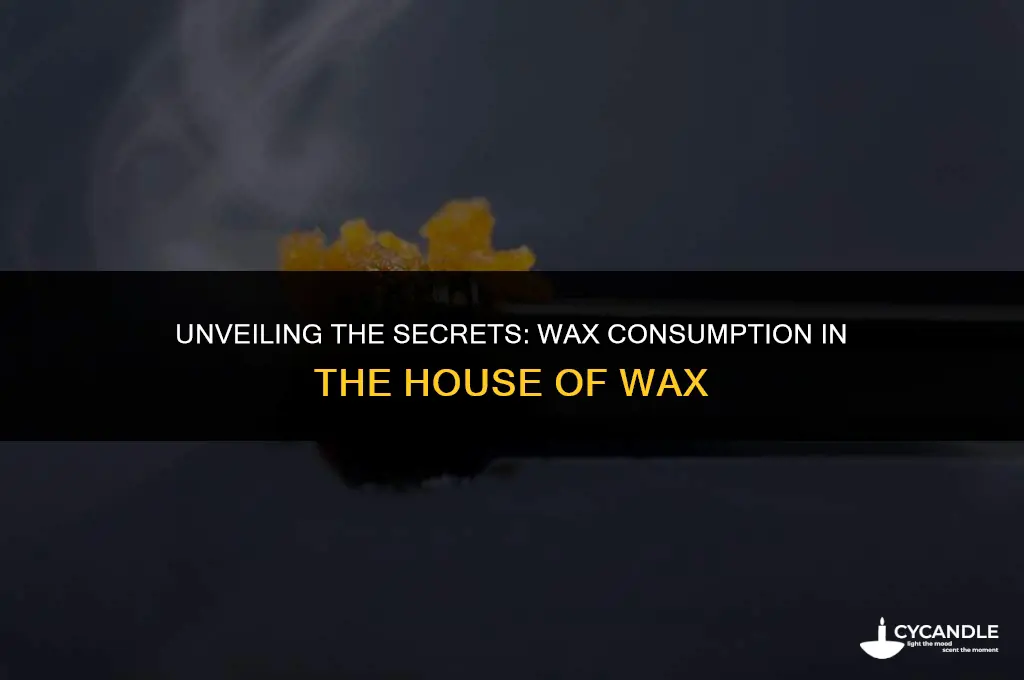 how much wax was used in house of wax