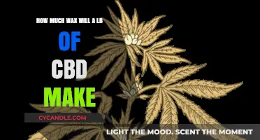 CBD Wax Yield: How Much Can 1 Pound Produce?