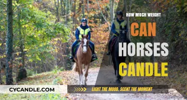 How Much Weight Can Horses Safely Carry: A Comprehensive Guide