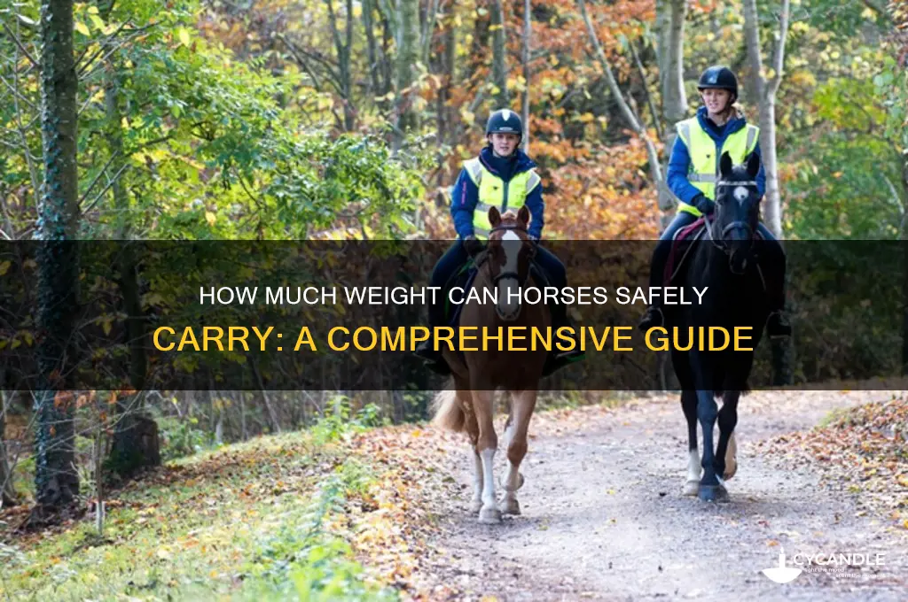 how much weight can horses candle