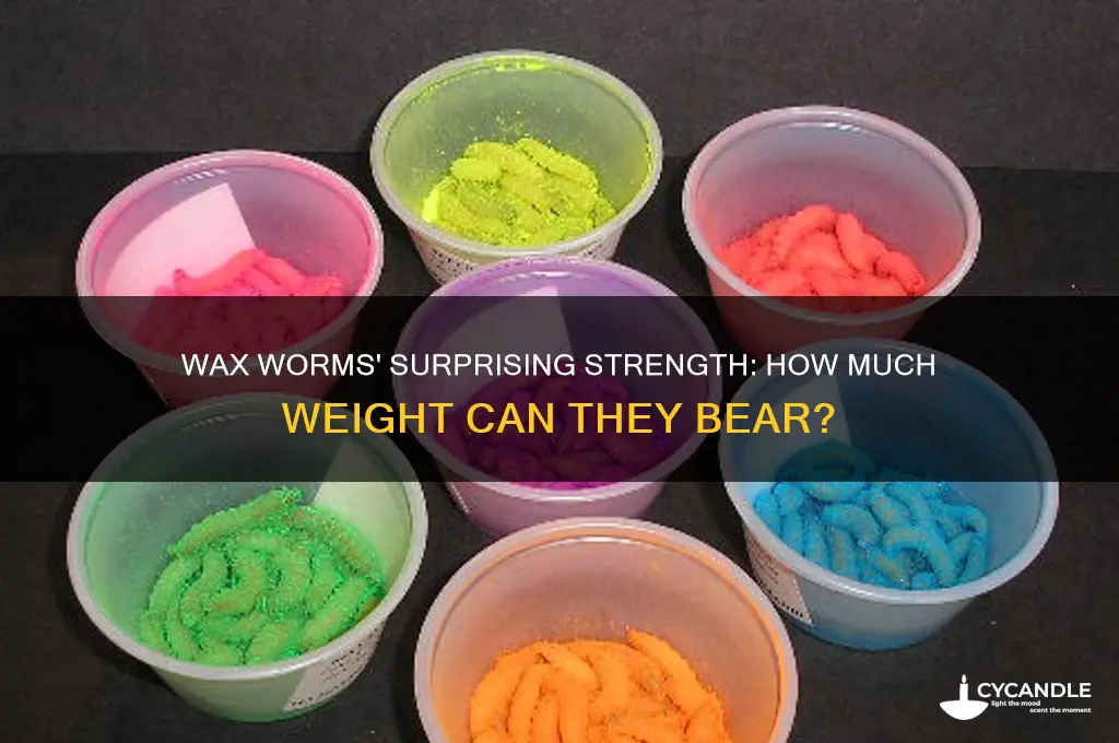how much weight can wax worms withstand