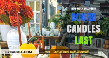 Fresh Gourd Candles: Longevity, Care, and Burning Time Explained