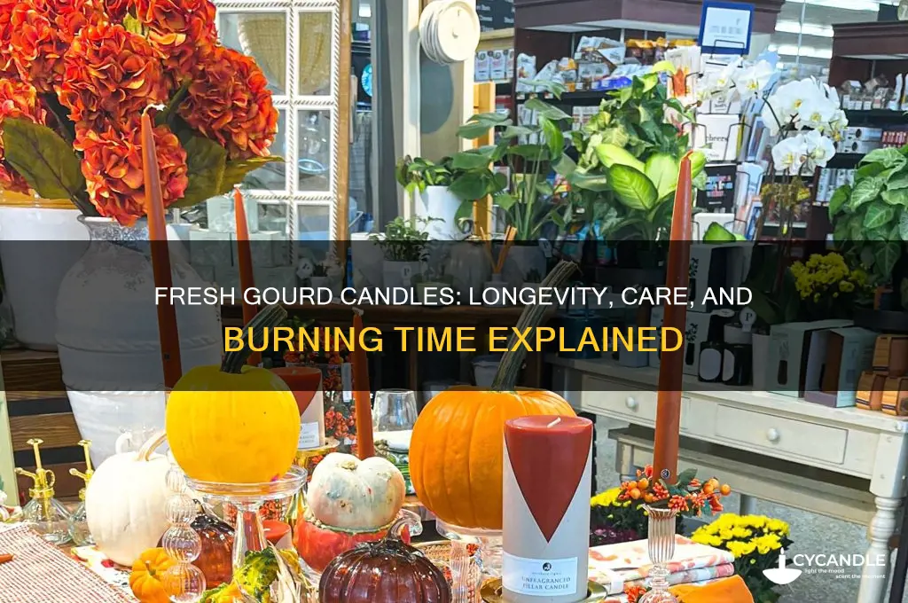 how much will fresh gourd candles last