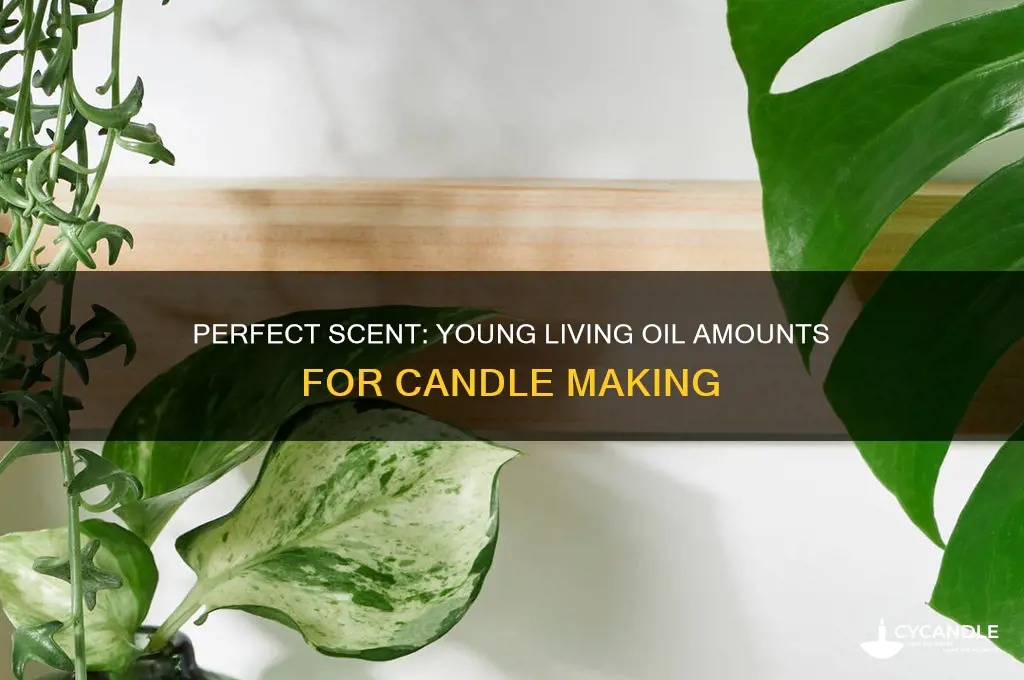 how much young living oil to put in candle