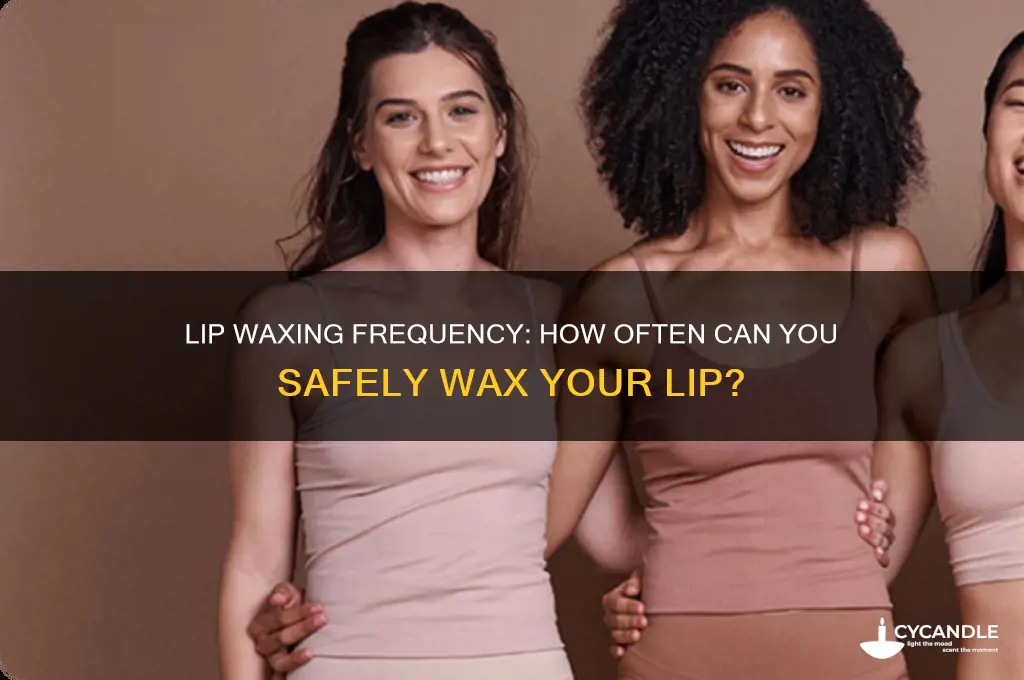 how often can i wax my lip