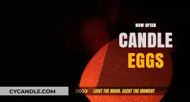 Candle Eggs: How Frequently Should You Check?