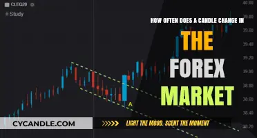 Candle Patterns: How Often Do They Change in Forex?