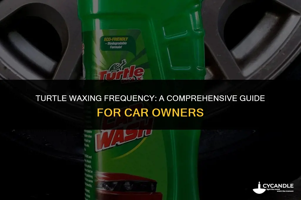 how often should i turtle wax my car