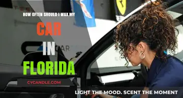 Florida Car Care: Optimal Waxing Frequency for Sunshine State Drivers