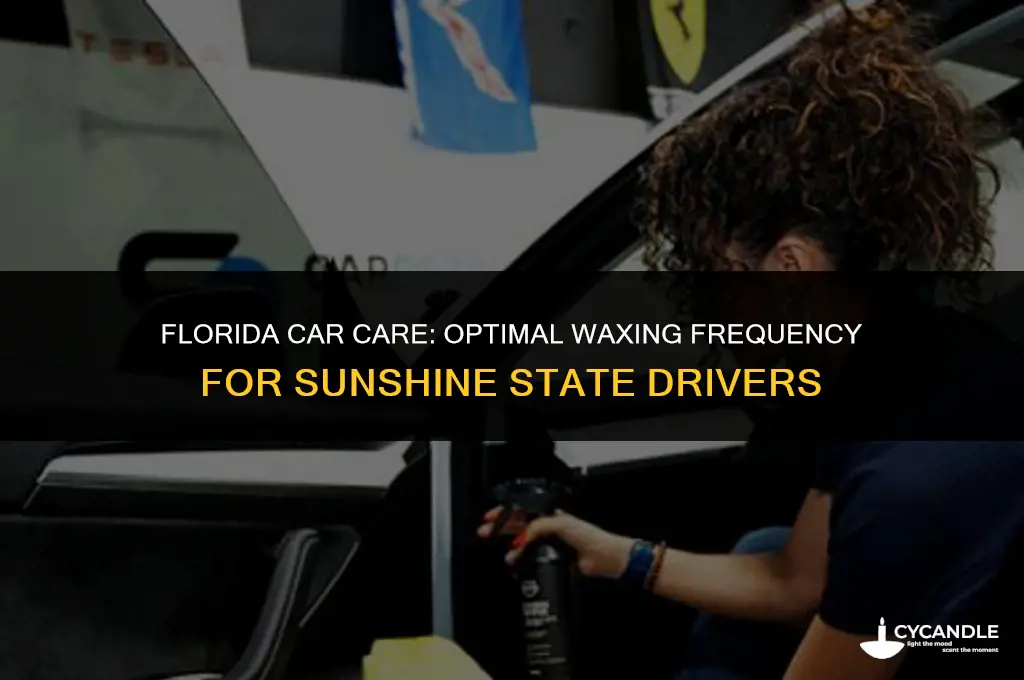 how often should i wax my car in florida