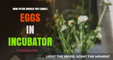 The Right Frequency for Candling Eggs in an Incubator