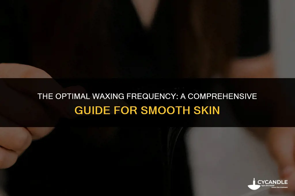 how often should you get a wax