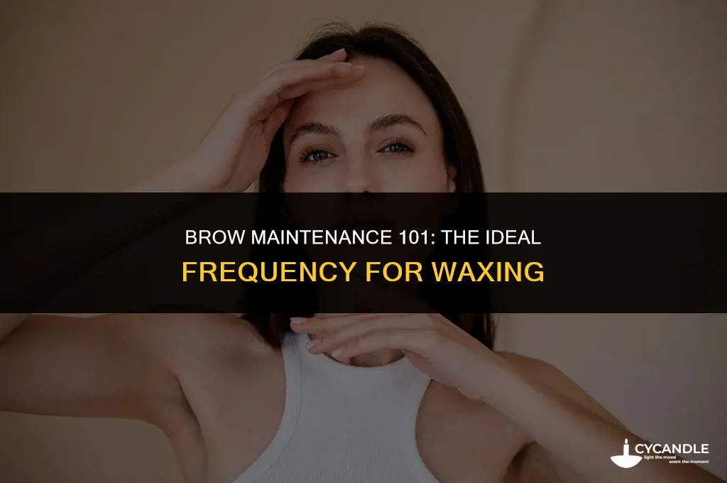 how often should you get your brows waxed