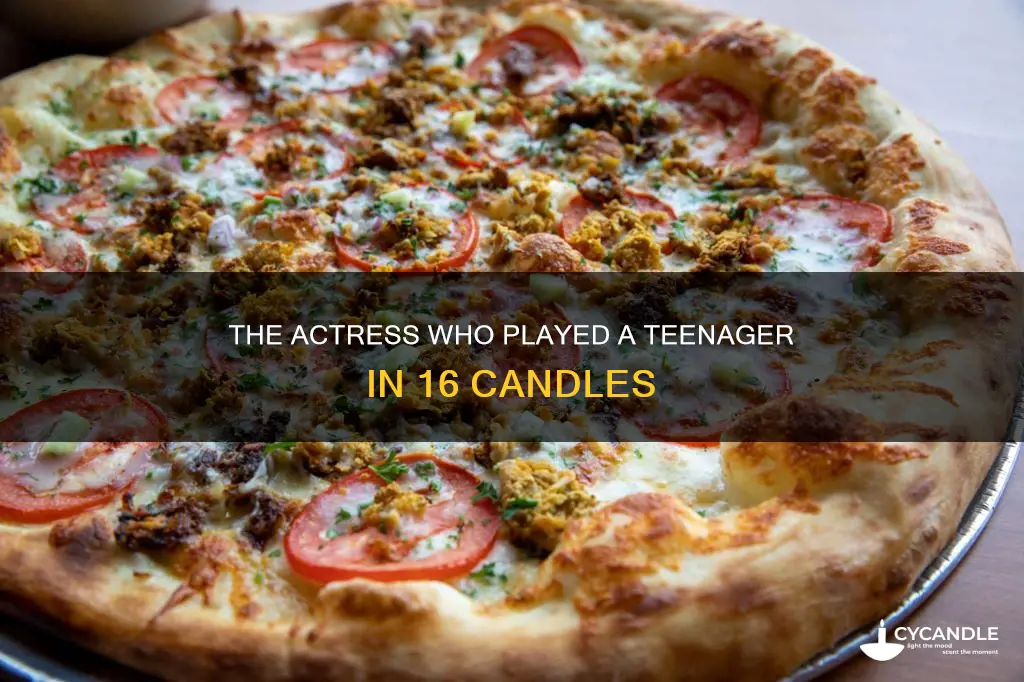 how old was debbie pollack in 16 candles