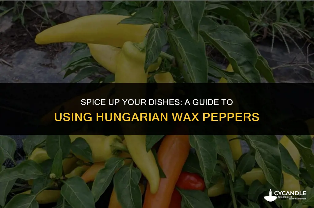 how ot use hungarian wax peppers