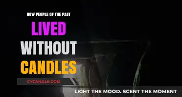 Life Before Candles: Illuminating the Past