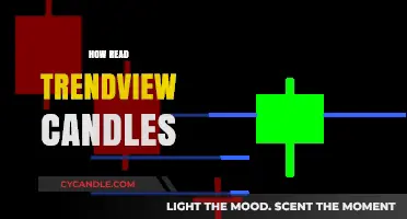 Understanding Trendview Candles: A Beginner's Guide