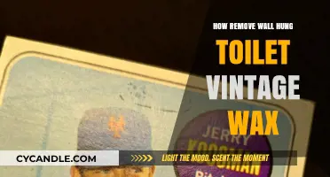 Removing Vintage Wax from Wall-Hung Toilets: A Step-by-Step Guide