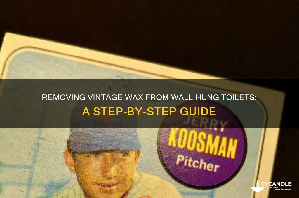 how remove wall hung toilet vintage wax