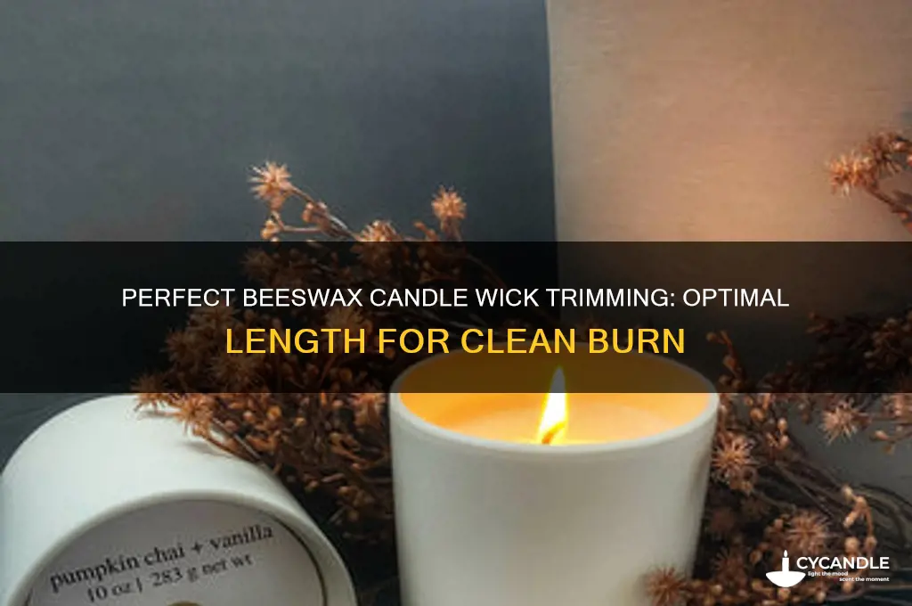 how short do you cut a beeswax candle wick