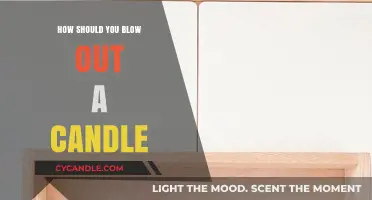 The Art of Blowing Out a Candle
