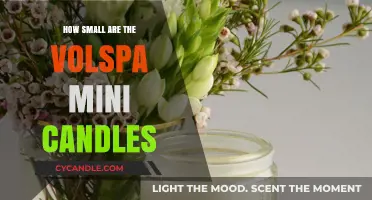 Voluspa Mini Candles: Tiny Yet Mighty Treats