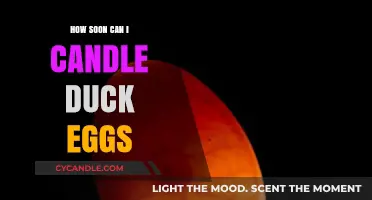 Candling Duck Eggs: Timing Tips for Monitoring Embryo Development