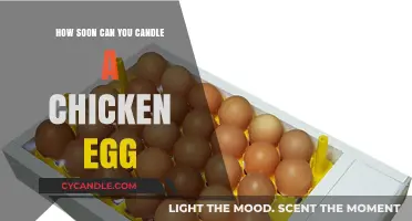 Candling Chicken Eggs: Timing Tips for Early Embryo Visibility
