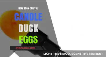 Candling Duck Eggs: Timing Tips for Early Embryo Visibility