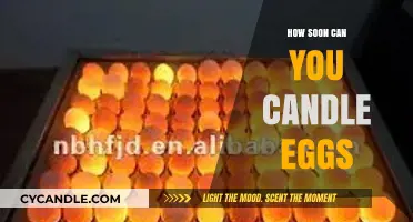 Candling Eggs: The Soonest Time to Check for Fertility