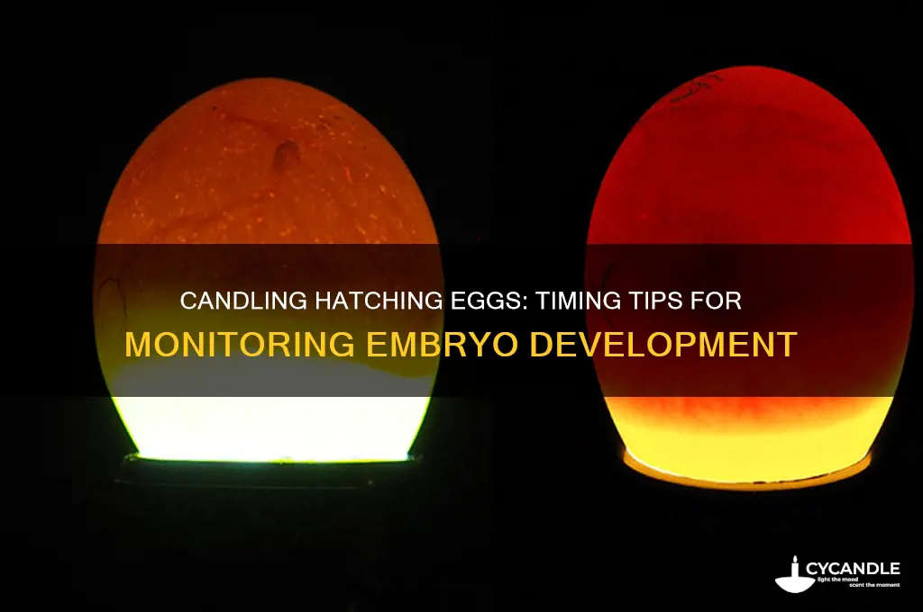 how soon can you candle hatching eggs