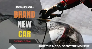 Optimal Timing for Waxing Your New Car: Expert Advice