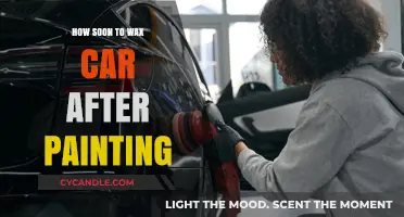 Optimal Timing for Waxing Your Car Post-Paint Job