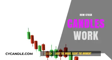 Understanding Stock Candles: A Comprehensive Guide to Their Functionality