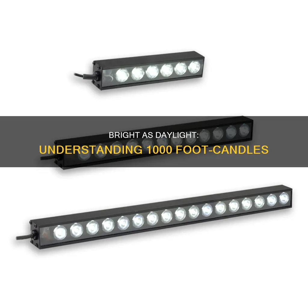 how strong is 1000 foot candles