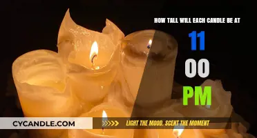 Candle Heights at 11:00 PM: Predictions and Insights