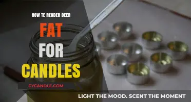 Rendering Deer Fat for Rustic Candles